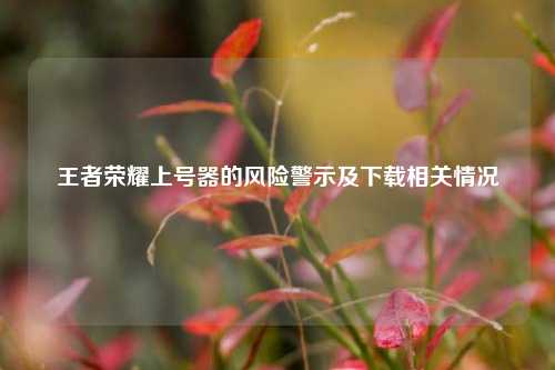 王者荣耀上号器的风险警示及下载相关情况