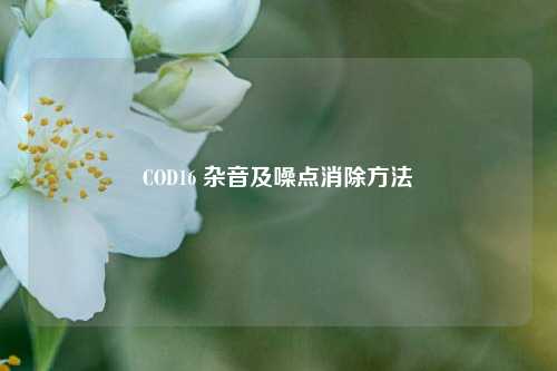 COD16 杂音及噪点消除 *** 