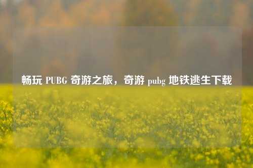 畅玩 PUBG 奇游之旅，奇游 pubg 地铁逃生下载