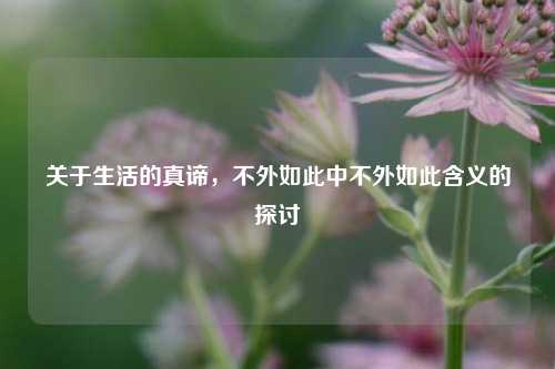 关于生活的真谛，不外如此中不外如此含义的探讨