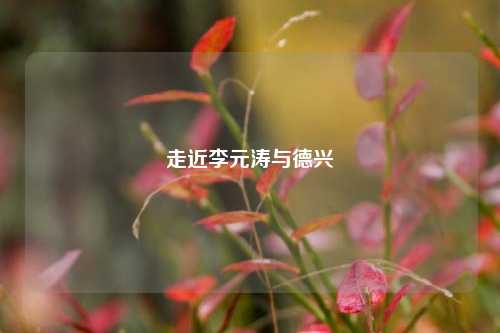 走近李元涛与德兴