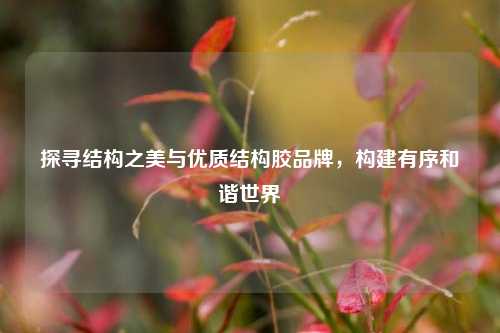 探寻结构之美与优质结构胶品牌，构建有序和谐世界