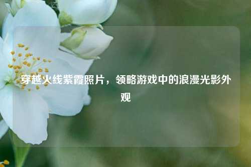 穿越火线紫霞照片，领略游戏中的浪漫光影外观