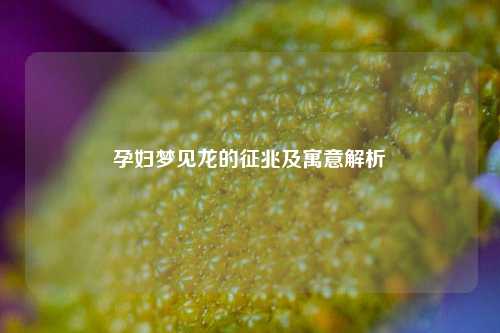 孕妇梦见龙的征兆及寓意解析