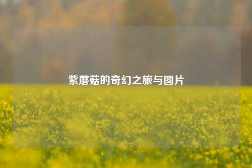 紫蘑菇的奇幻之旅与图片