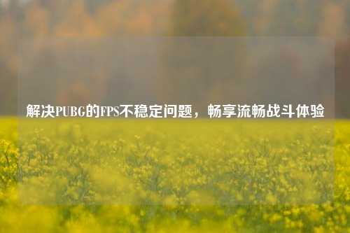 解决PUBG的FPS不稳定问题，畅享流畅战斗体验