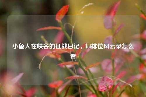 小鱼人在峡谷的征战日记，lol排位风云录怎么看