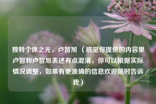 独特个体之光，卢智旭 （感觉你提供的内容里卢智和卢智旭表述有点混淆，你可以根据实际情况调整，如果有更准确的信息欢迎随时告诉我）