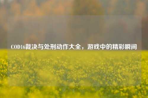 COD16裁决与处刑动作大全，游戏中的精彩瞬间