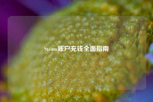 Steam账户充钱全面指南