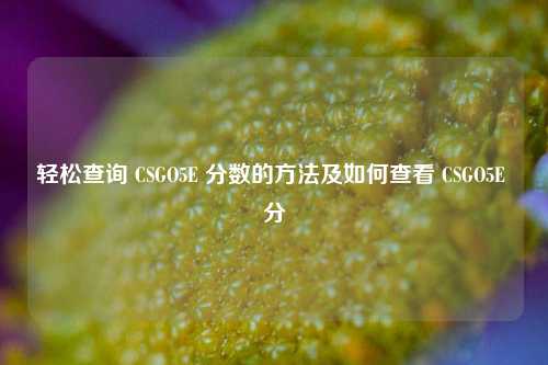 轻松查询 CSGO5E 分数的 *** 及如何查看 CSGO5E 分