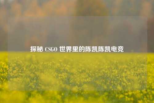 探秘 CSGO 世界里的陈凯陈凯电竞