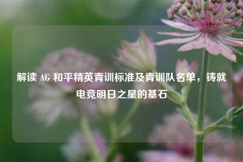 解读 AG 和平精英青训标准及青训队名单，铸就电竞明日之星的基石