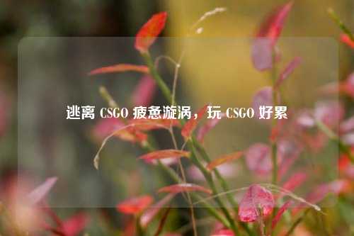 逃离 CSGO 疲惫漩涡，玩 CSGO 好累