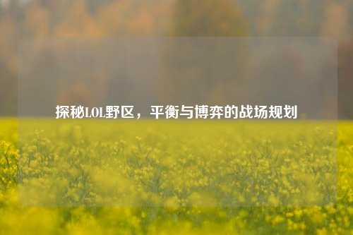 探秘LOL野区，平衡与博弈的战场规划