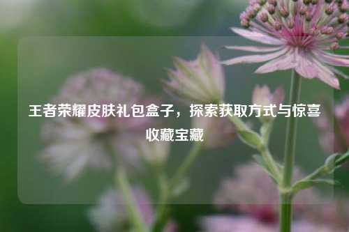 王者荣耀皮肤礼包盒子，探索获取方式与惊喜收藏宝藏