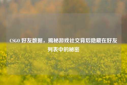 CSGO 好友数据，揭秘游戏社交背后隐藏在好友列表中的秘密