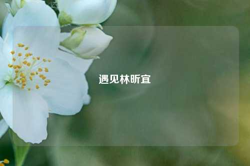遇见林昕宜