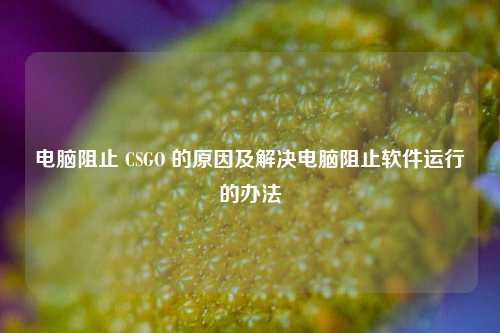 电脑阻止 CSGO 的原因及解决电脑阻止软件运行的办法