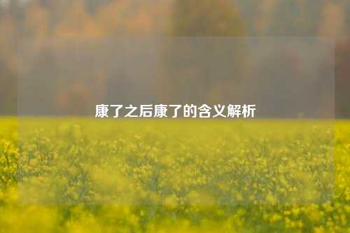 康了之后康了的含义解析