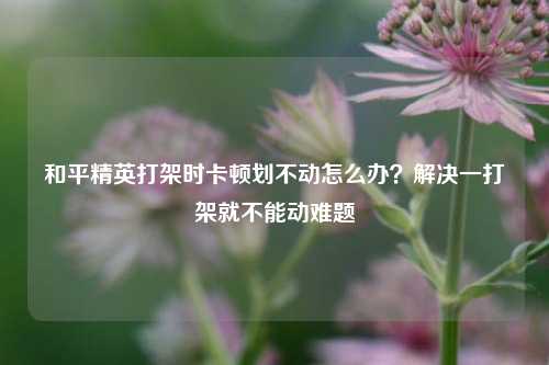 和平精英打架时卡顿划不动怎么办？解决一打架就不能动难题