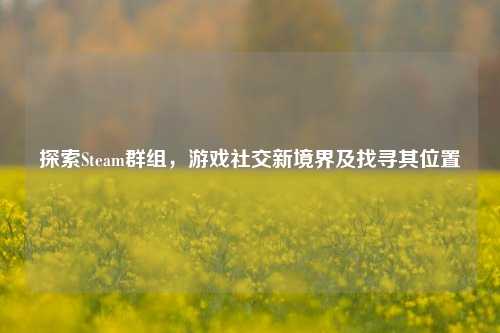 探索Steam群组，游戏社交新境界及找寻其位置