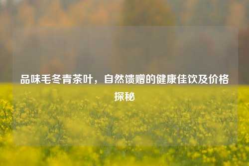 品味毛冬青茶叶，自然馈赠的健康佳饮及价格探秘
