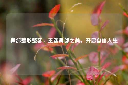 鼻部整形整容，重塑鼻部之美，开启自信人生