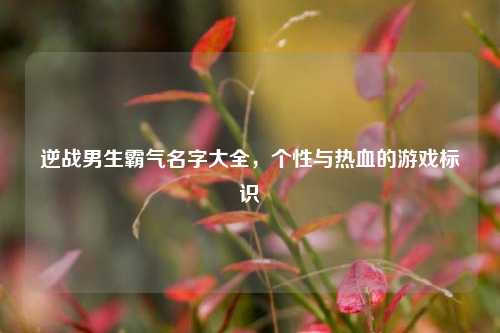 逆战男生霸气名字大全，个性与热血的游戏标识