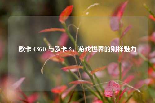 欧卡 CSGO 与欧卡 2，游戏世界的别样魅力