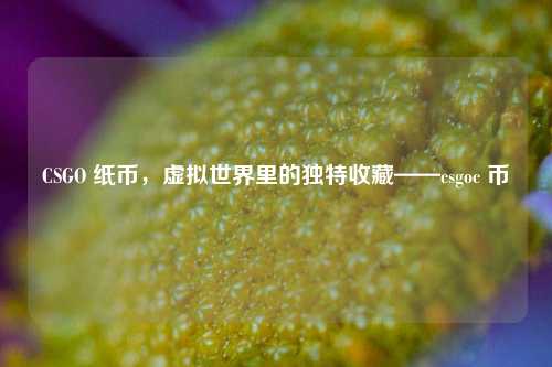 CSGO 纸币，虚拟世界里的独特收藏——csgoc 币