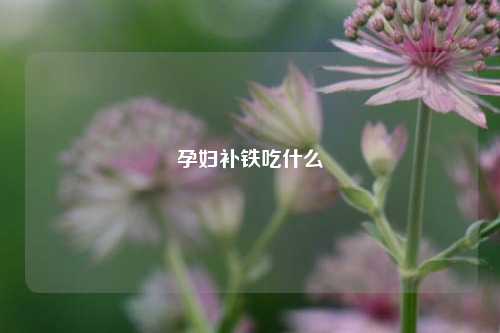 孕妇补铁吃什么
