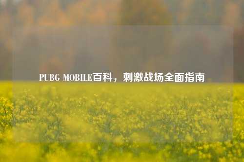 PUBG MOBILE百科， *** 战场全面指南