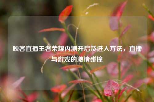映客直播王者荣耀内测开启及进入 *** ，直播与游戏的 *** 碰撞
