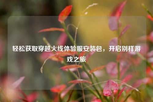 轻松获取穿越火线体验服安装包，开启别样游戏之旅