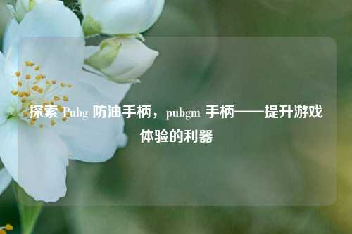 探索 Pubg 防油手柄，pubgm 手柄——提升游戏体验的利器