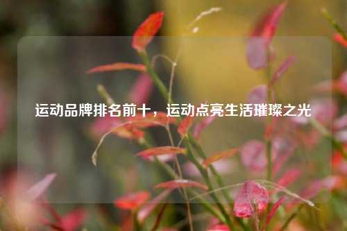 运动品牌排名前十，运动点亮生活璀璨之光