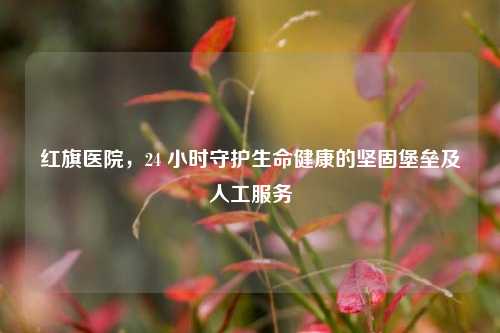 红旗医院，24 小时守护生命健康的坚固堡垒及人工服务