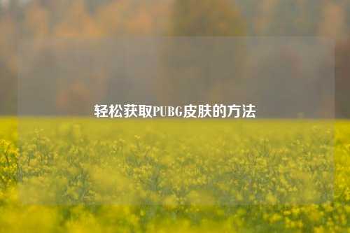 轻松获取PUBG皮肤的 *** 