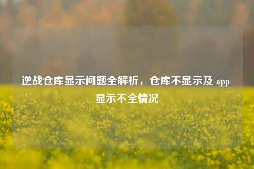 逆战仓库显示问题全解析，仓库不显示及 app 显示不全情况
