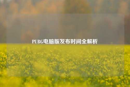 PUBG电脑版发布时间全解析