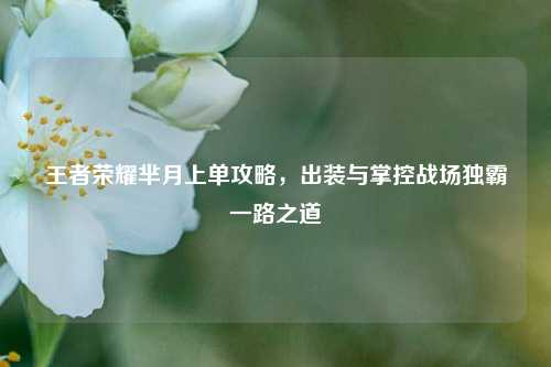 王者荣耀芈月上单攻略，出装与掌控战场独霸一路之道