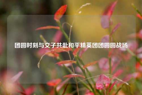 团圆时刻与交子共赴和平精英团团圆圆战场