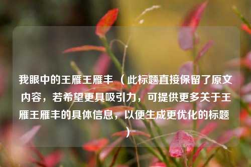 我眼中的王雁王雁丰 （此标题直接保留了原文内容，若希望更具吸引力，可提供更多关于王雁王雁丰的具体信息，以便生成更优化的标题 ）