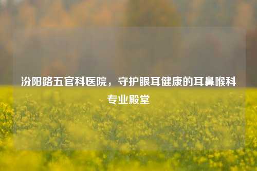 汾阳路五官科医院，守护眼耳健康的耳鼻喉科专业殿堂