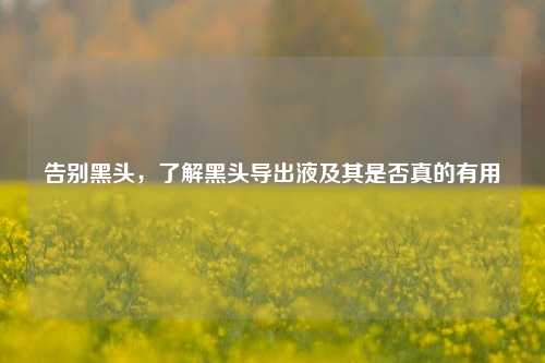告别黑头，了解黑头导出液及其是否真的有用