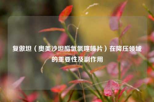 复傲坦（奥美沙坦酯氢 *** 片）在降压领域的重要性及副作用