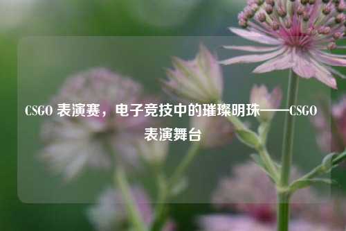 CSGO 表演赛，电子竞技中的璀璨明珠——CSGO 表演舞台