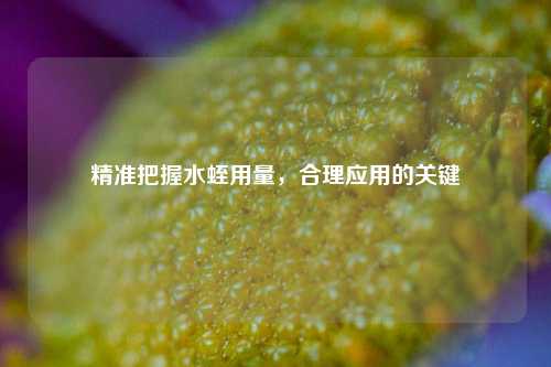 精准把握水蛭用量，合理应用的关键