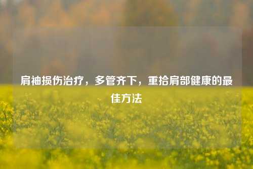 肩袖损伤治疗，多管齐下，重拾肩部健康的更佳 *** 